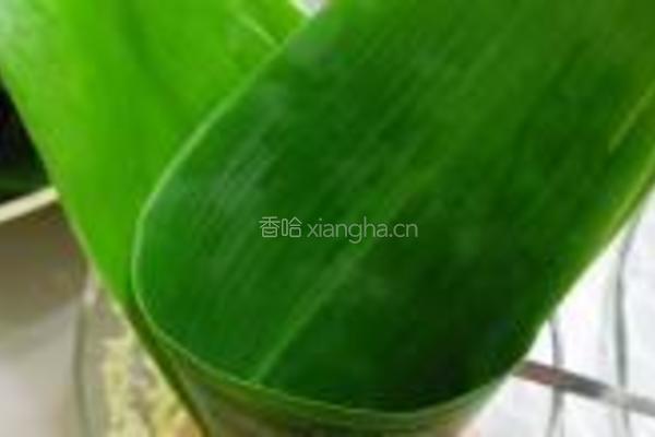红豆粽的做法图解5