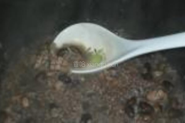 黑豆腰花粥的做法图解18
