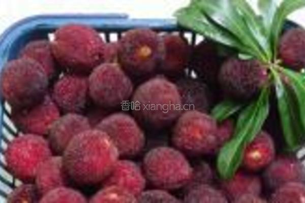 杨梅果酱的做法图解1