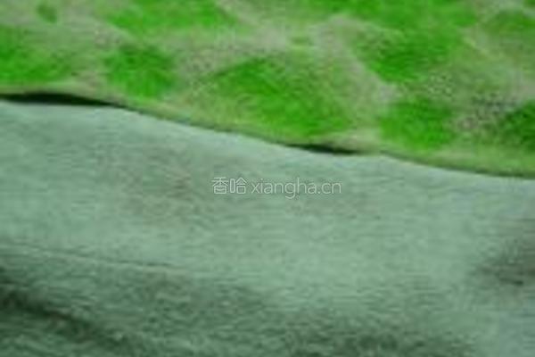 茴香猪肉包的做法图解12