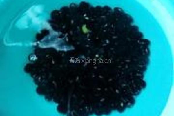 营养黑豆豆浆的做法图解1