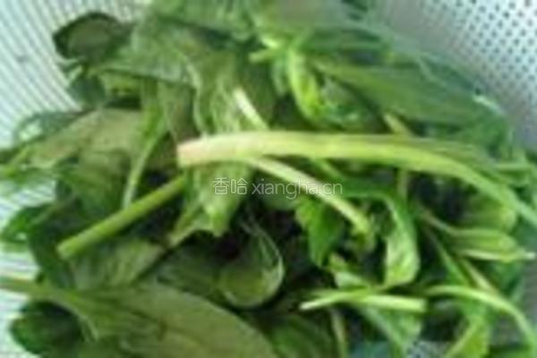 菠菜煎饼的做法图解1