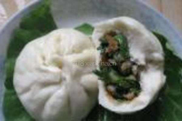 野香芥菜肉包的做法图解17