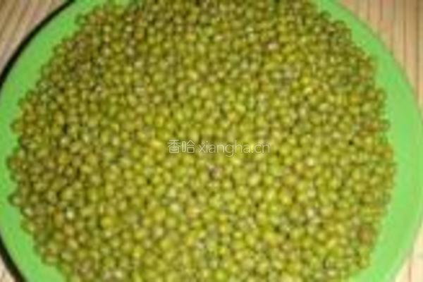 自制绿豆芽的做法图解1
