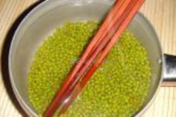 自制绿豆芽的做法图解2