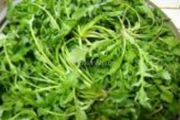 酥皮荠菜馅饼的做法图解4