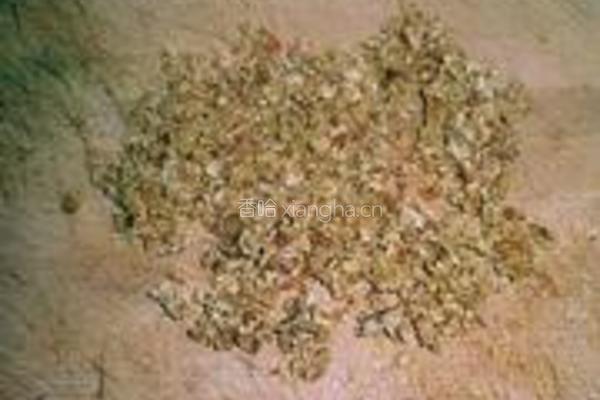蜜枣饼的做法图解2