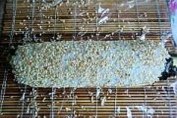 韩式紫菜包饭的做法图解19