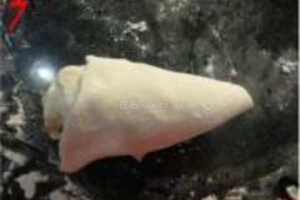 紫菜椒盐家常饼的做法图解7