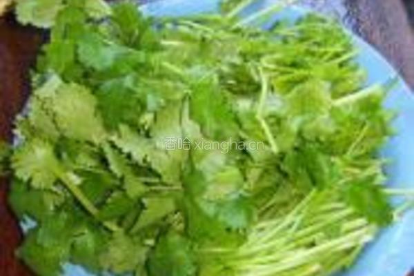 香菜肉馅大包子的做法图解5