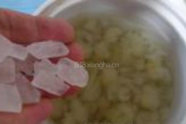 木瓜炖雪蛤的做法图解5