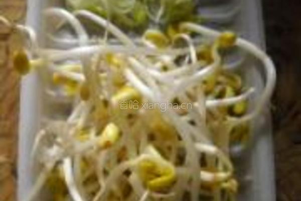 紫菜豆芽饼的做法图解2