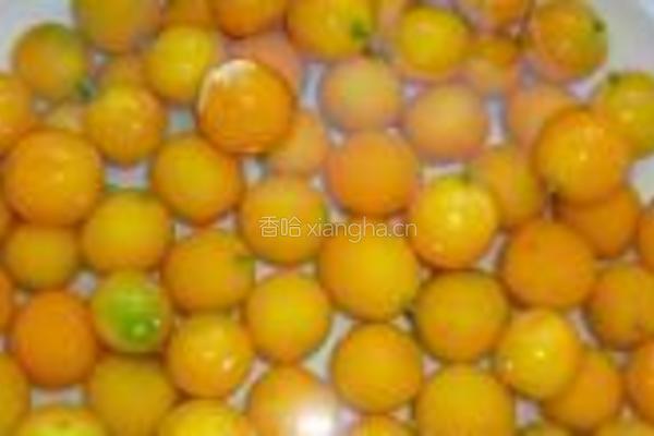 糖渍金桔的做法图解1