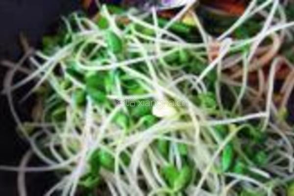 锦带芽菜卷的做法图解10