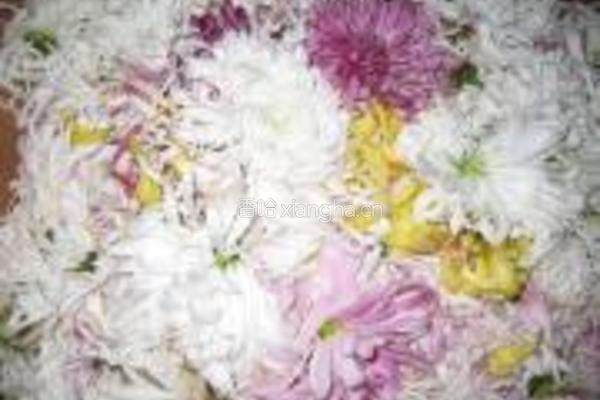 菊花馅水饺的做法图解2