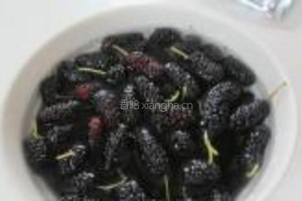 桑果酸奶饮的做法图解4