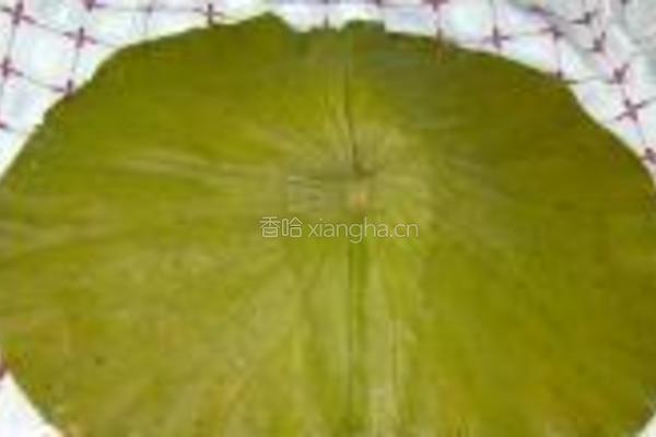 荷叶粥的做法图解5