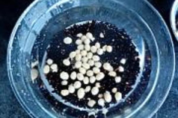 双黑米豆浆的做法图解2