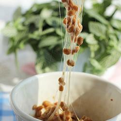 牛油果纳豆的做法[图]