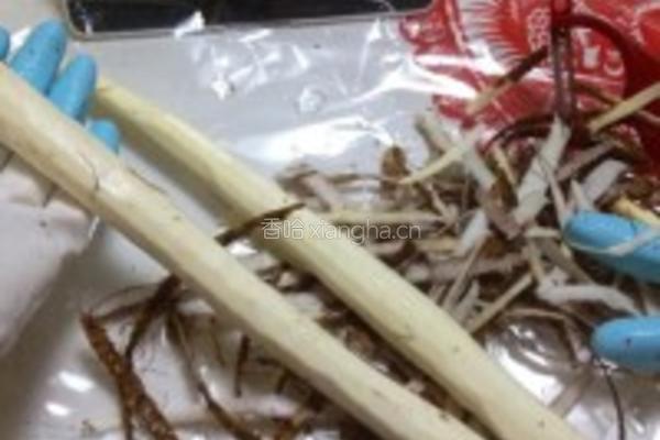 铁棍山药煲老母鸡汤的做法图解5