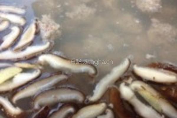 藕丁香菇肉丸汤的做法图解4