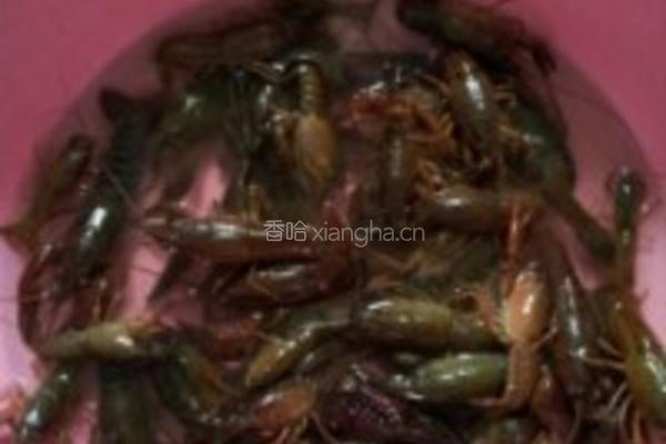 童年小龙虾的做法图解6