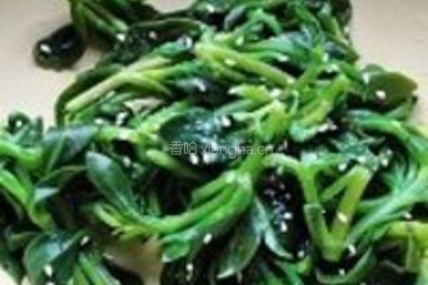 凉拌田七菜的做法图解4