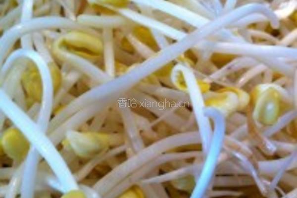 培根炒黄豆芽蒜苗的做法图解3