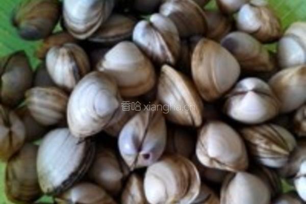 爆炒文蛤的做法图解1
