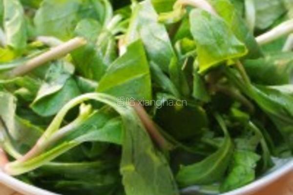 马兰头豆腐卷的做法图解1