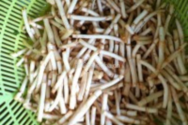 鱼腥草的做法图解3