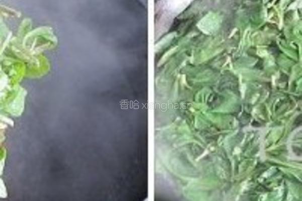 马兰头的做法图解3