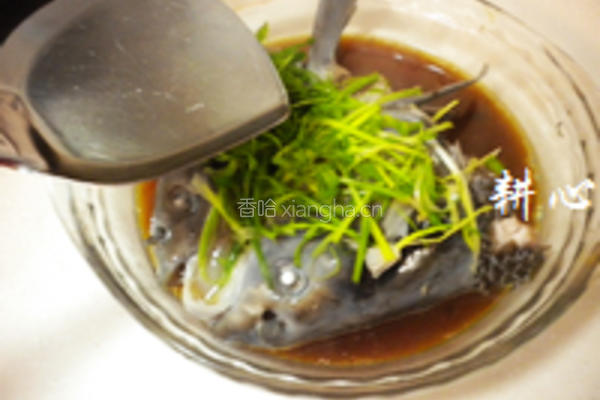 豉汁青鱼头的做法图解10