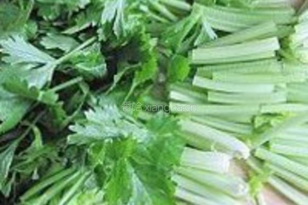 香干芹菜的做法图解2