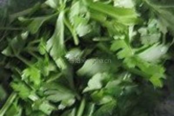 香干芹菜的做法图解4