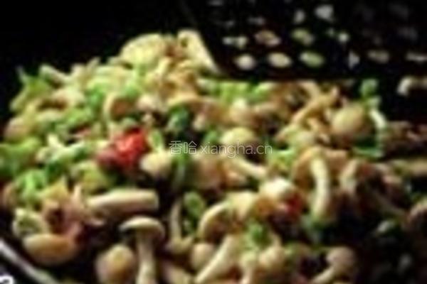 本菇炒鸡丁的做法图解3