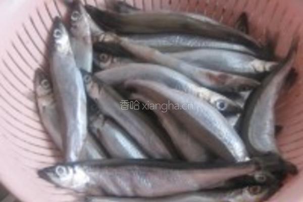 酥炸多春鱼的做法图解1