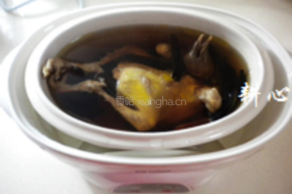 灵芝鸽子汤的做法图解7