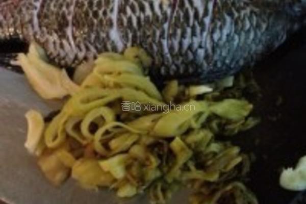 酸菜焖鱼的做法图解1
