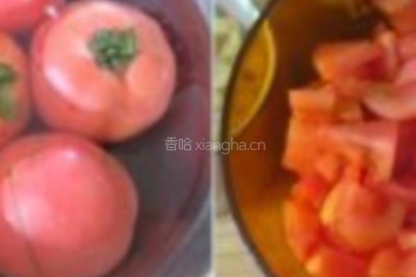 茄汁黄豆牛腩的做法图解4