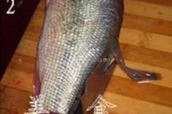 清蒸开屏鲈鱼的做法图解2