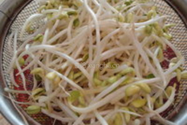 红烧豆芽的做法图解1