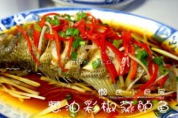 葱油彩椒蒸鲈鱼的做法图解8