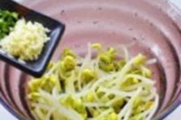 黄豆芽凉拌菜的做法图解3