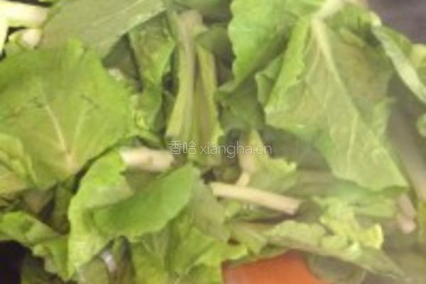 虾皮清炒小白菜的做法图解6
