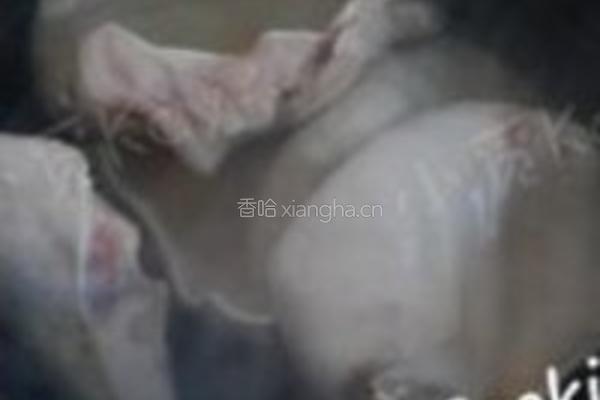 凉拌卤耳片的做法图解2