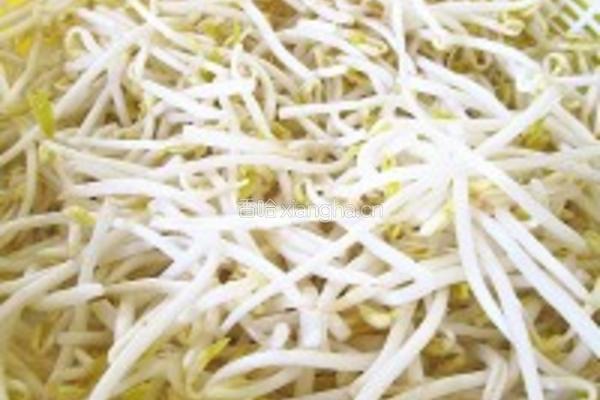 绿豆芽炒红萝卜丝的做法图解1