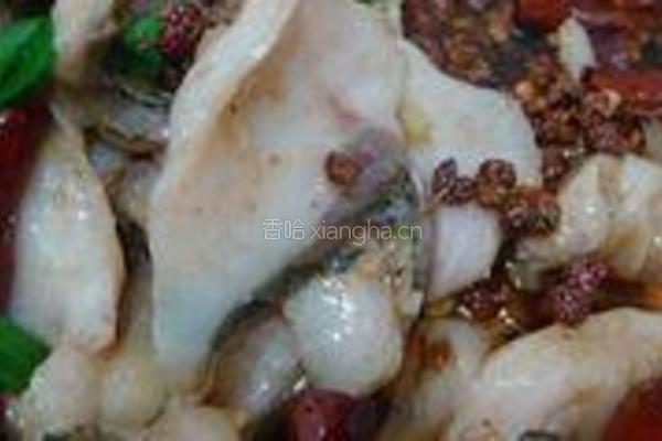 水煮鱼的做法图解13