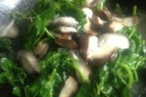 香菇豌豆尖的做法图解3