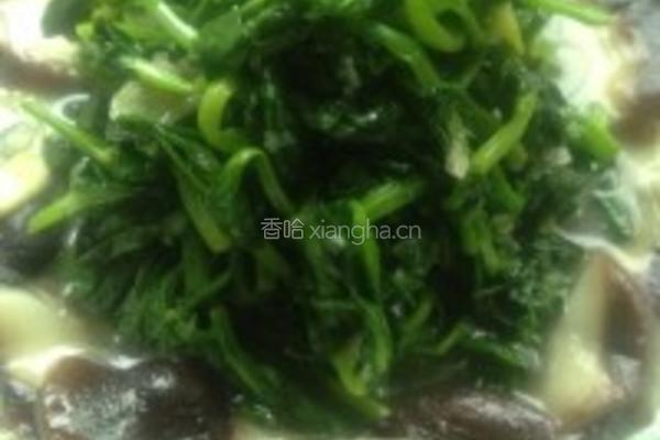 香菇豌豆尖的做法图解4
